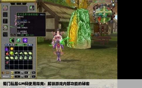 蜀门私服GM码使用指南：解锁游戏内部功能的秘密