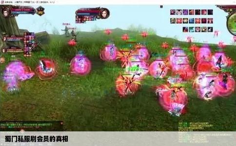 蜀门私服刷会员的真相