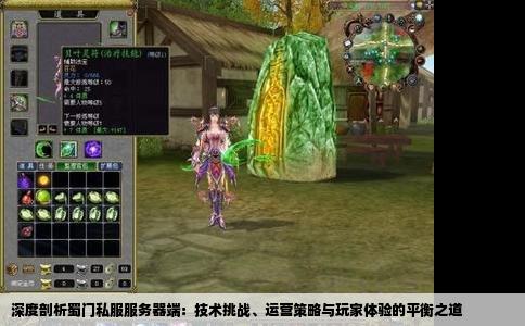 深度剖析蜀门私服服务器端：技术挑战、运营策略与玩家体验的平衡之道