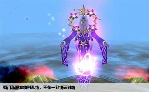蜀门私服宠物别乱练，不花一分钱玩到精